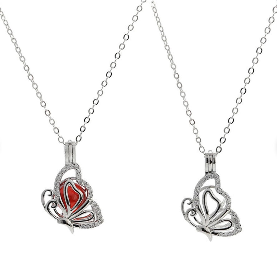 SSC 13 - Diamonte Butterfly cage