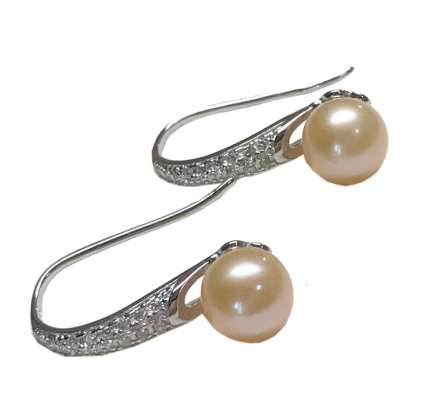 SSE 24 - Fish hook sparkle Earrings