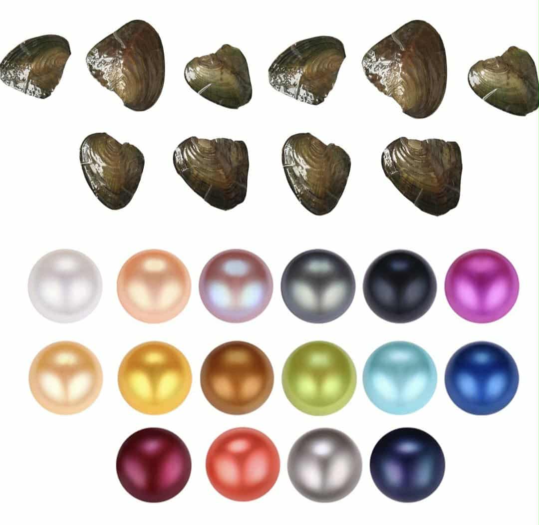 Oyster Opening - One Round