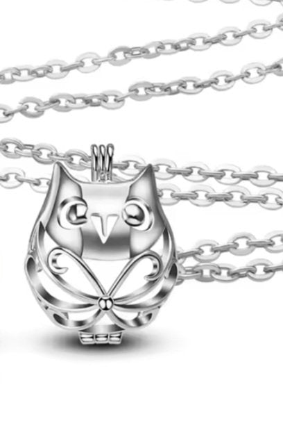 Edison Cage - Owl
